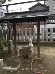 出世稲荷神社の手水