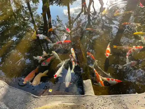 伊豆山神社(静岡県)