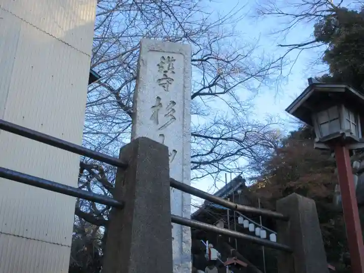 杉山社(帷子町杉山社・久保杉山神社)(神奈川県)