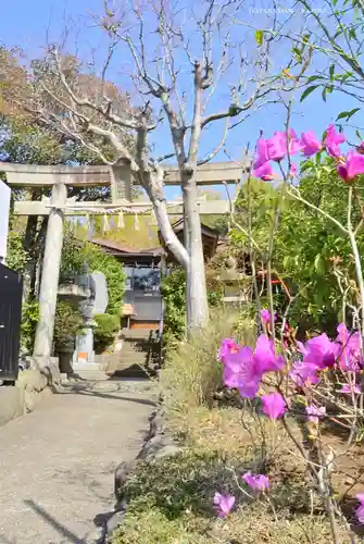 横浜御嶽神社の鳥居