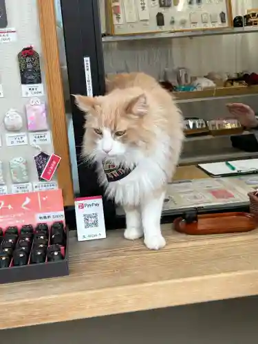 駒込妙義神社(東京都)