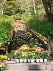 長谷寺(奈良県)