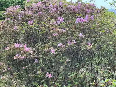 牛窓神社(岡山県)