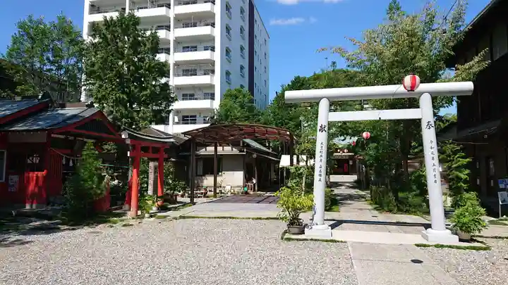 高知大神宮の鳥居