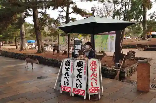 東大寺(奈良県)