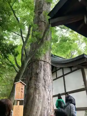 川越氷川神社の{uncategorized: "未分類", other: "その他", undefined: "問題あり", building: "その他建物", grave: "お墓", sacred_gate: "鳥居", guardian: "狛犬", statue: "像", buddha: "仏像", history: "歴史", nature: "自然", garden: "庭園", animal: "動物", pagoda: "塔", temizu: "手水舎", mountain_gate: "山門・神門", sanctuary: "本殿・本堂", subordinate: "末社・摂社", art: "芸術", scenery: "景色", jizo: "地蔵", ema: "絵馬", goshuin: "御朱印", omikuji: "おみくじ", items: "授与品その他", amulet: "お守り", goshuincho: "御朱印帳", eats: "食事", festival: "お祭り", votive_dance: "神楽", shichigosan: "七五三参", wedding: "結婚式", experience: "体験その他", initially: "初詣", around: "周辺", anti_infection: "感染症対策"}