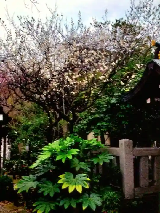 牛天神北野神社(東京都)