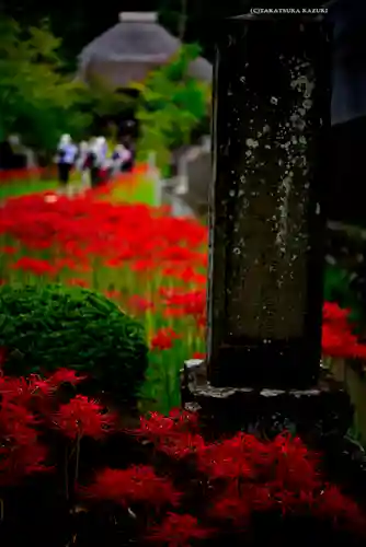 横浜　西方寺(神奈川県)