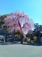 道仁寺(宮城県)