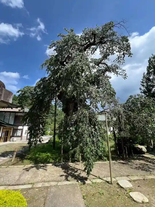 愛蔵寺(福島県)