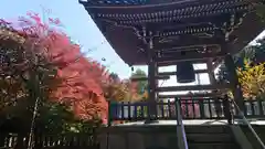 道場寺の建物その他