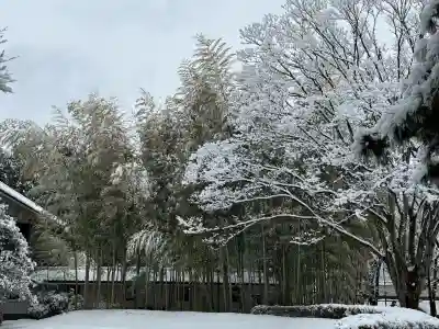 忍　諏訪神社・東照宮　の{uncategorized: "未分類", other: "その他", undefined: "問題あり", building: "その他建物", grave: "お墓", sacred_gate: "鳥居", guardian: "狛犬", statue: "像", buddha: "仏像", history: "歴史", nature: "自然", garden: "庭園", animal: "動物", pagoda: "塔", temizu: "手水舎", mountain_gate: "山門・神門", sanctuary: "本殿・本堂", subordinate: "末社・摂社", art: "芸術", scenery: "景色", jizo: "地蔵", ema: "絵馬", goshuin: "御朱印", omikuji: "おみくじ", items: "授与品その他", amulet: "お守り", goshuincho: "御朱印帳", eats: "食事", festival: "お祭り", votive_dance: "神楽", shichigosan: "七五三参", wedding: "結婚式", experience: "体験その他", initially: "初詣", around: "周辺", anti_infection: "感染症対策"}