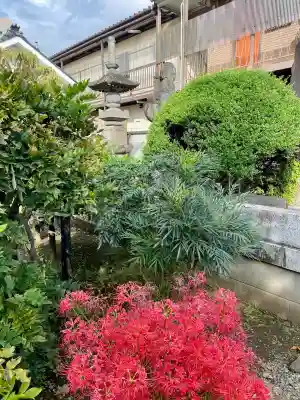 花蔵院(東京都)