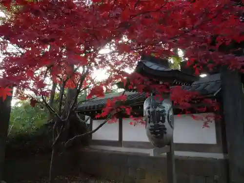 東漸寺のその他建物