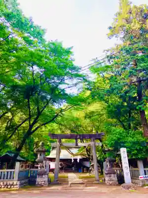 中村八幡宮(栃木県)
