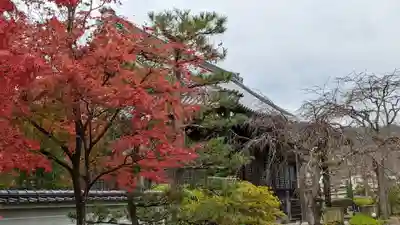 妙満寺(京都府)