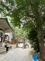 銀杏岡八幡神社の体験その他