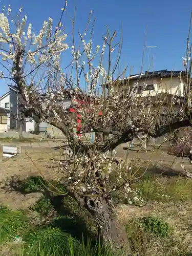 天神社(埼玉県)