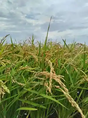 厚別神社(北海道)