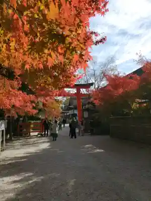 賀茂御祖神社（下鴨神社）(京都府)