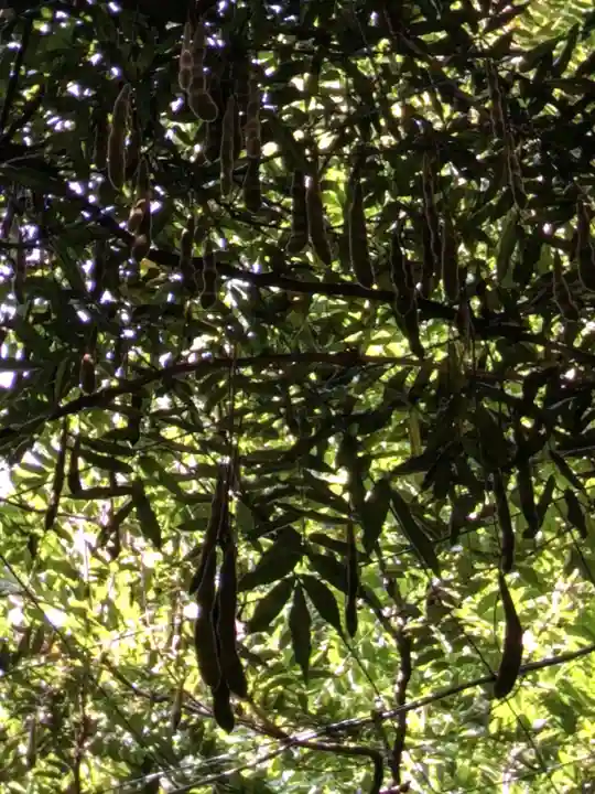 國領神社(東京都)