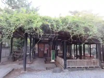 葛井寺(大阪府)