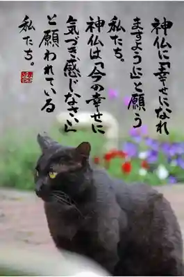 専念寺(大阪府)