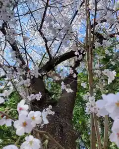 滑川神社 - 仕事と子どもの守り神の自然(2021年04月07日(水) 23時06分27秒投稿)
