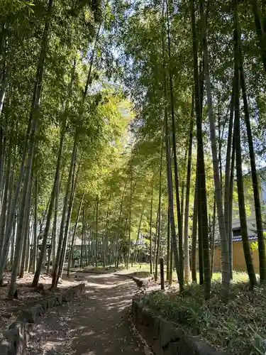 武蔵一宮氷川神社(埼玉県)
