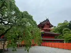 富士山本宮浅間大社(静岡県)