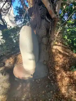 開運招福 飯玉神社(群馬県)
