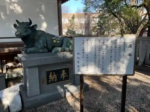 加納天満宮の狛犬