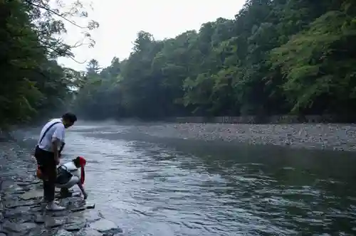 伊勢神宮内宮（皇大神宮）の自然