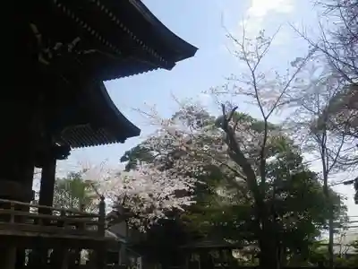 御霊神社のその他建物