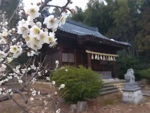 八幡神社(福井県)