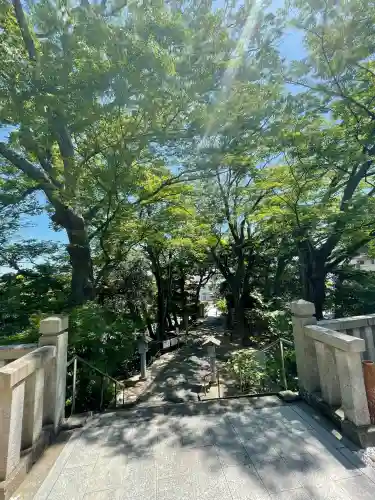 白旗神社の{uncategorized: "未分類", other: "その他", undefined: "問題あり", building: "その他建物", grave: "お墓", sacred_gate: "鳥居", guardian: "狛犬", statue: "像", buddha: "仏像", history: "歴史", nature: "自然", garden: "庭園", animal: "動物", pagoda: "塔", temizu: "手水舎", mountain_gate: "山門・神門", sanctuary: "本殿・本堂", subordinate: "末社・摂社", art: "芸術", scenery: "景色", jizo: "地蔵", ema: "絵馬", goshuin: "御朱印", omikuji: "おみくじ", items: "授与品その他", amulet: "お守り", goshuincho: "御朱印帳", eats: "食事", festival: "お祭り", votive_dance: "神楽", shichigosan: "七五三参", wedding: "結婚式", experience: "体験その他", initially: "初詣", around: "周辺", anti_infection: "感染症対策"}