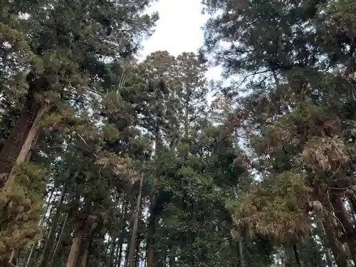 大宮温泉神社(栃木県)