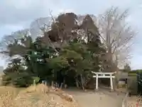 神社(名称不明)(千葉県)