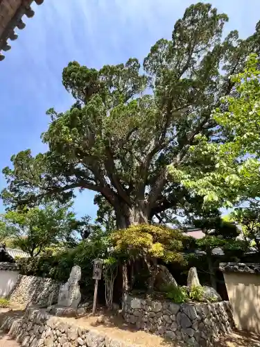 道成寺(和歌山県)