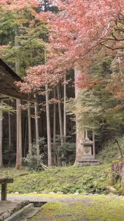 高山寺(京都府)