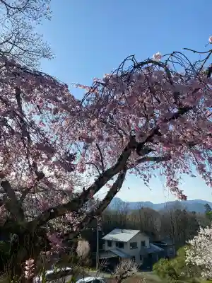 前山寺(長野県)