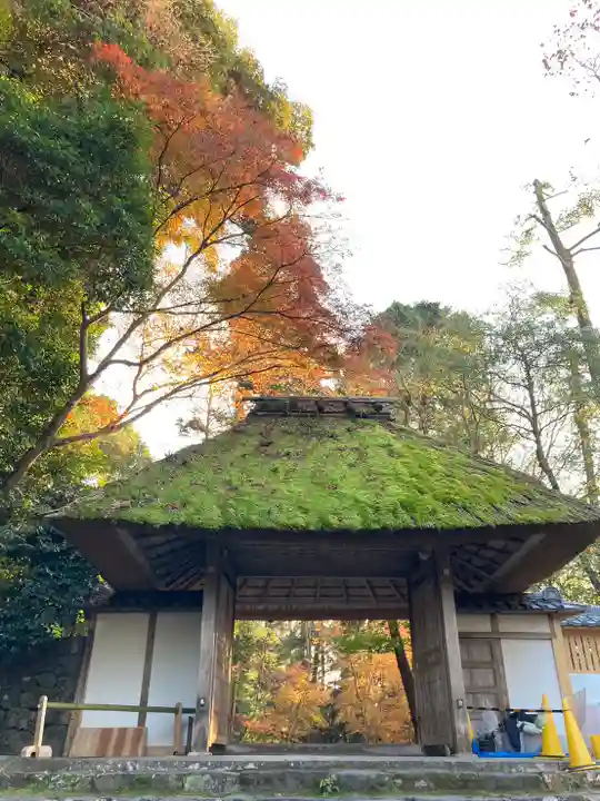 京都法然院歳時記 法然院 | 京都の時空に舞った風