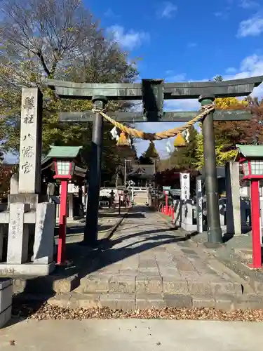 下野國一社八幡宮(栃木県)