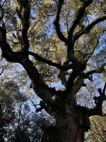 熱田神宮(愛知県)