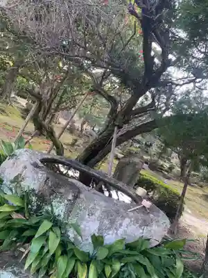 極楽寺の手水舎