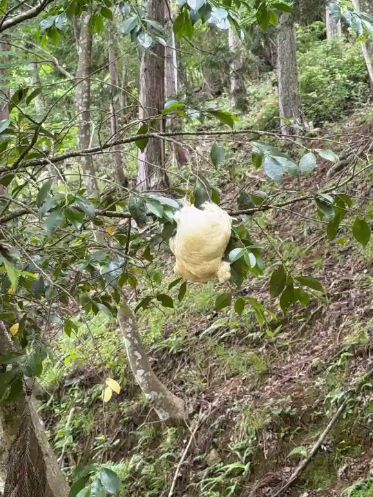 石道寺(滋賀県)