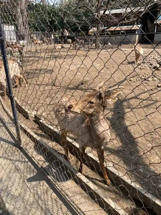 三嶋大社(静岡県)