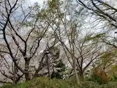 七社神社の自然