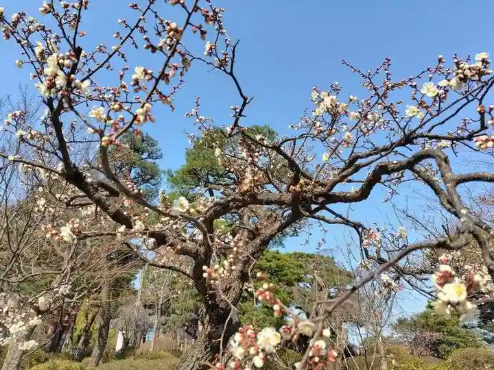 開成山大神宮(福島県)