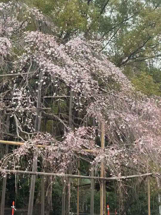 近江神宮(滋賀県)
